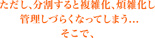 ただし、分割すると複雑化、煩雑化し管理しづらくなってしまう...そこで、