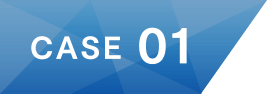 case1
