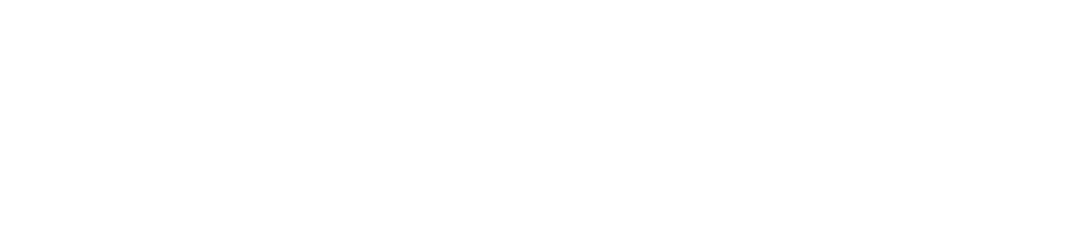 What is the insurance industry like?
